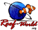 The REEF-WORLD Foundation